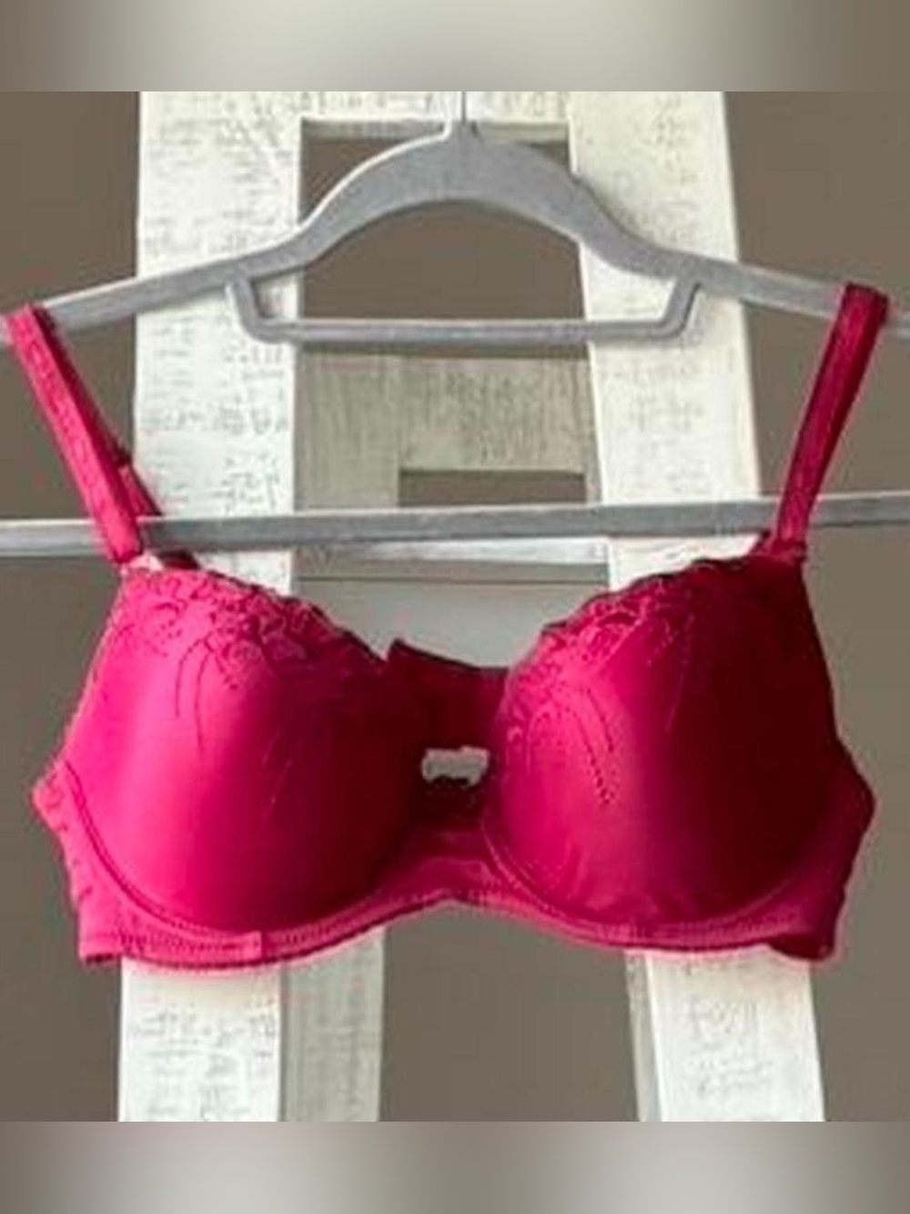 Honeydew Dark Pink/Red Embroidered Bra Size 36B